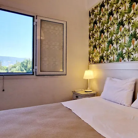 Panorama Fiscardo 아파트 피스카던